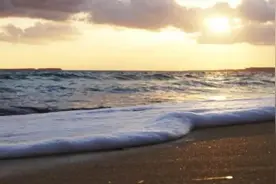 干货！如何利用潮汐钓鱼？图片