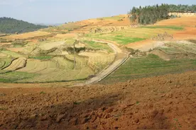 土地承包期限延长，新媳妇，新生儿将无耕地？国家是这样规定的图片