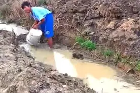 鱼趣（篇二）筑堰围堵 舀水抓鱼图片