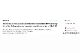 云南发现一种新蝙蝠冠状病毒 力证新冠起源于自然图片