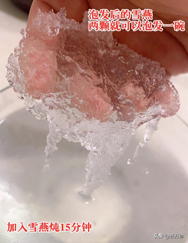 桃胶雪燕皂角米煮好了能放多久 2026年桃胶雪燕皂角米煮好了可以放几天 桃胶雪燕皂角米煮好了能放多久 2026年桃胶雪燕皂角米煮好了可以放几天