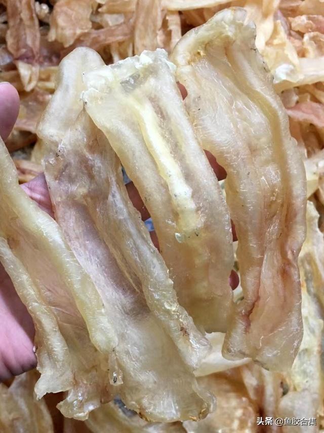 越南花胶好吗 2026年越南花胶好吗有毒吗