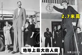 “世界之最”：在这个世界上出现过的5个最为巨大的事物图片