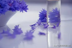 每日一词：beset图片