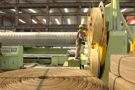 中国竹缠绕复合技术，实现竹子造高铁，硬度比钢板还强？图片