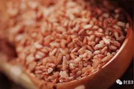 本周《封面》：红米“出山”记图片