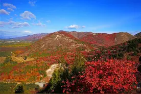 京郊顺义舞彩浅山开放，预计月底红叶进入最佳观赏期！图片