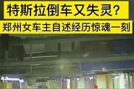 又是特斯拉，车主如何申请维权之路图片