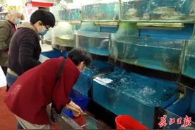 天气好鱼也长得好，秋冬淡水鱼低价上市啦图片