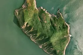 我国蛇岛分布两万多条毒蛇，若放进两只老虎，会是怎样的结果？图片