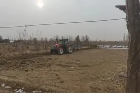 冬天抓紧时间犁地图片