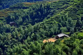 煮饭蛇落锅：深山老林生活不为人知的另一面图片