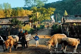 东西该怎么借？俗话说“借米不借柴，借衣不借鞋”，蕴含生活哲理图片