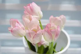 出于感激以“身”相许一时，但是很难以“身”相许一世图片