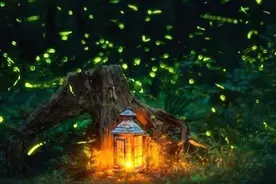 一个人不管多善良，尽量别忍两件事，要做个有原则的人图片