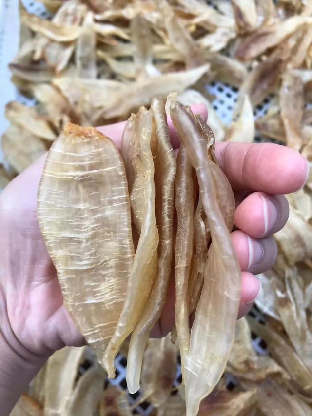 秋季小孩子能喝花胶汤吗 适合秋天喝的花胶汤