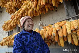 粮补产生2个变化，单独补贴取消…图片