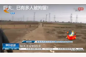 “偷菜团”新进展：有人开奥迪带小孩行动，派出所谈到处罚方案图片