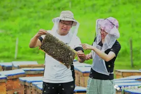 新疆奇台县：电商助力拓宽蜂农蜂蜜销路图片