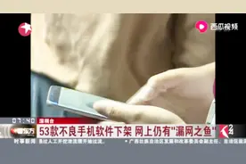53款不良手机软件下架，网上仍有“漏网之鱼”
