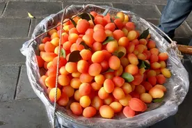 只在景区出现的水果，名字高大上，四季有卖，却是人造出来的图片