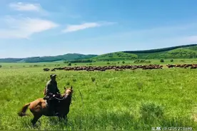 拥抱凤凰山 我和盛夏有约定图片