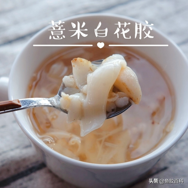 印尼深海野生花胶 2026年印尼的花胶怎么样