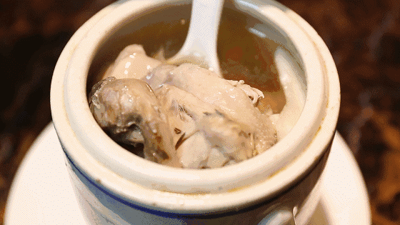 佘自強 花胶汤 2026年佘自强的汤可信吗