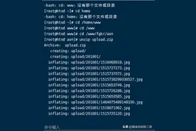 linux压缩和解压缩命令图片