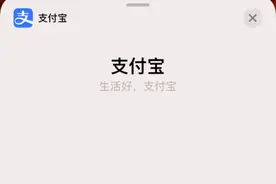 一键快捷收付款！支付宝现已支持iOS 14小组件功能图片