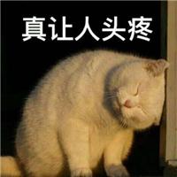 怎样去掉word页眉上的横线（Word中烦人的页眉横线就是删不掉这里有4种删除方法一看就会）