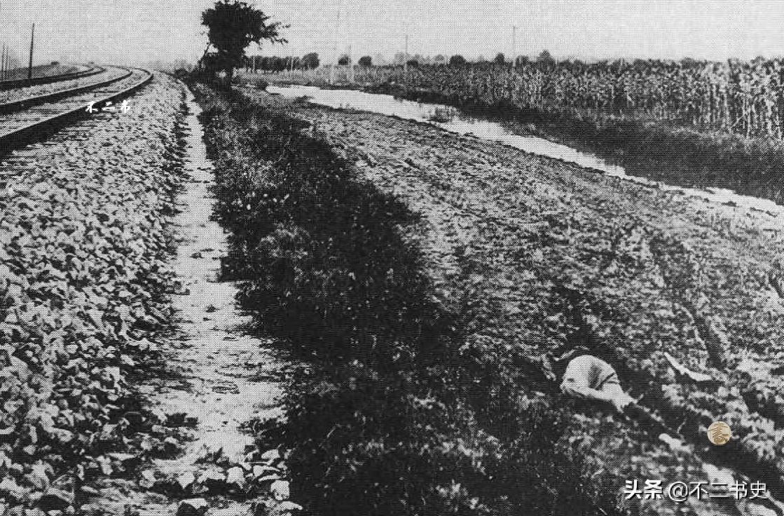 老照片:日军1931年入侵东北三省,这些画面展现了恶魔的模样