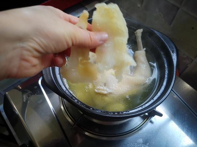海参花胶猪肚煲鸡汤的做法 海参花胶猪骨汤的功效