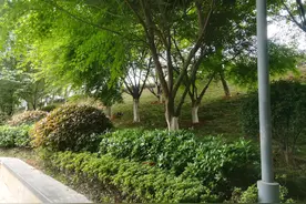 恩施利川市谋道镇…苏马荡，夏天避暑感悟与三年后新认知图片