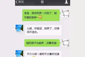 大学生和父母聊天记录走红，爆笑内容引网友热议，网友：亲生的图片