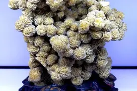 岁月清浅，淡淡石味——新疆戈壁美玉石图片