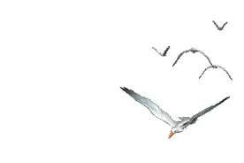 唯有跳出当前框框，才是解决海员换班难问题图片