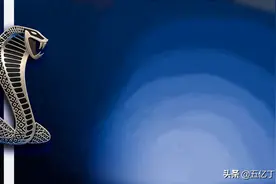 美国的高性能汽车，竟然让一条蛇足足把持了60年图片