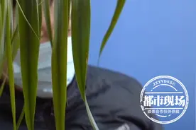 1万多就能拿到大学文凭，真的？让你“在等待永远在等待”图片