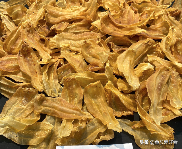 白鳘赤嘴鱼胶 2026年白鳘赤嘴鱼胶的功效