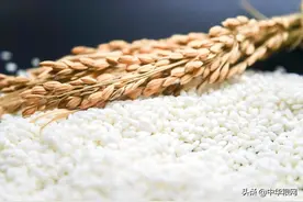 大势已去！糯稻米震荡走低成定局图片