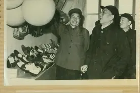 将军的眼光和农场的蝶变图片