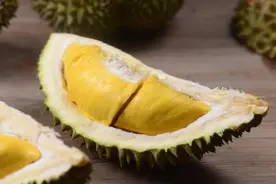 明明白白吃榴莲图片