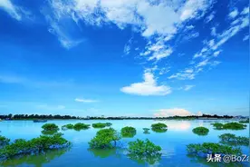 广西最美5大海岸，个个都是旅游胜地，你去过多少个？图片