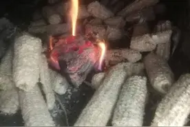 农村烧火用的玉米芯，是放错了地方的“宝贝”么？图片