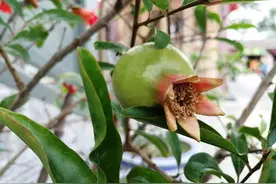 外卖跑腿女图片