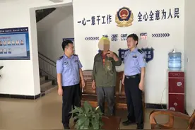 用人工养殖甲鱼冒充野生来贩卖？景德镇民警查实“还”原形！图片
