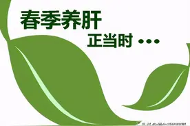 春养肝，一粥，一茶，一汤，一菜记得吃，养肝清肝火，呵护你的肝图片