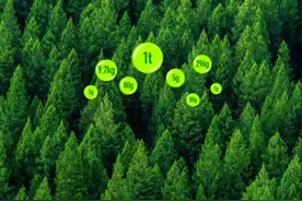 蚂蚁森林：我送你离开，公益之外图片