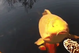 不在一个频道上图片